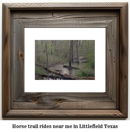 horse trail rides near me in Littlefield, Texas